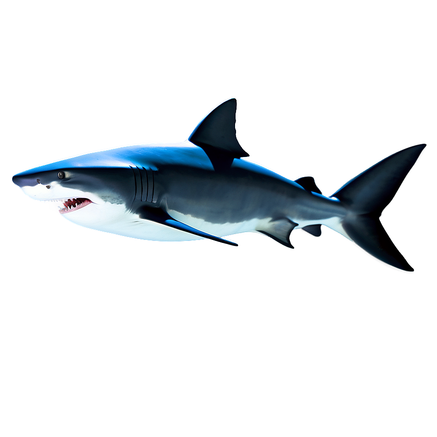 3d Shark Image Png 33 PNG Image