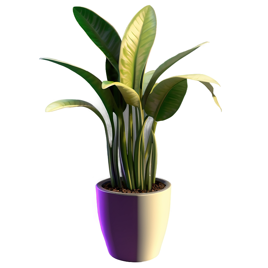 3d Snake Plant Png Cyr39 PNG Image