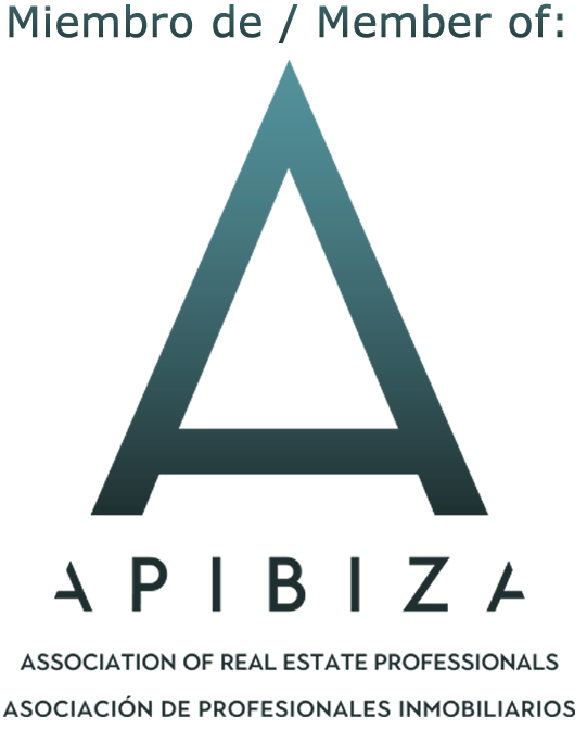 A P I B I Z A Real Estate Professionals Association Logo PNG Image