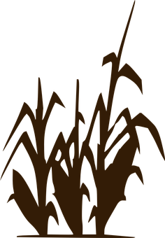 A Silhouette Of A Plant PNG Image