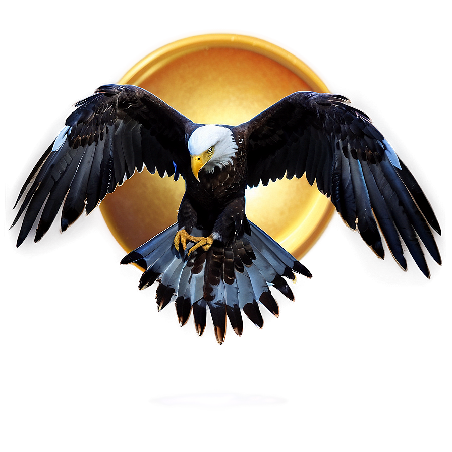 Abstract Aguila Png Oyb PNG Image