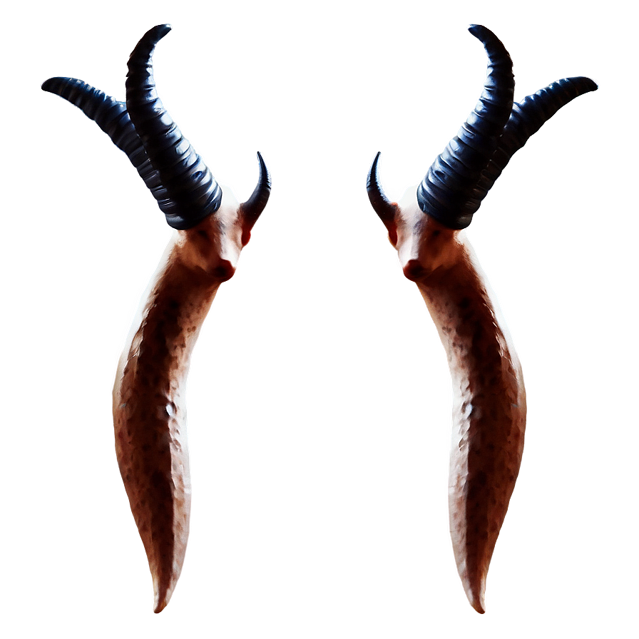 Abstract Antelope Horns Png 98 PNG Image