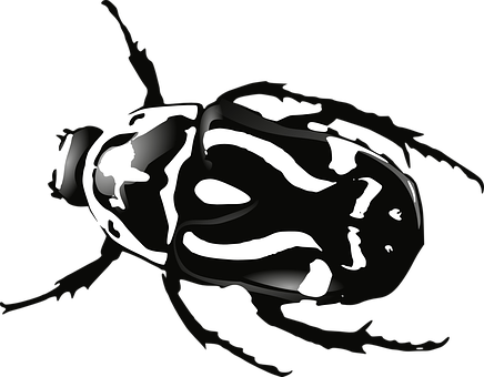 Abstract Beetle Artwork PNG Image