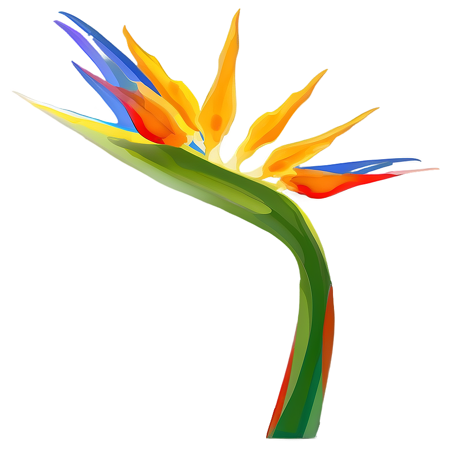 Abstract Bird Of Paradise Png Osw68 PNG Image