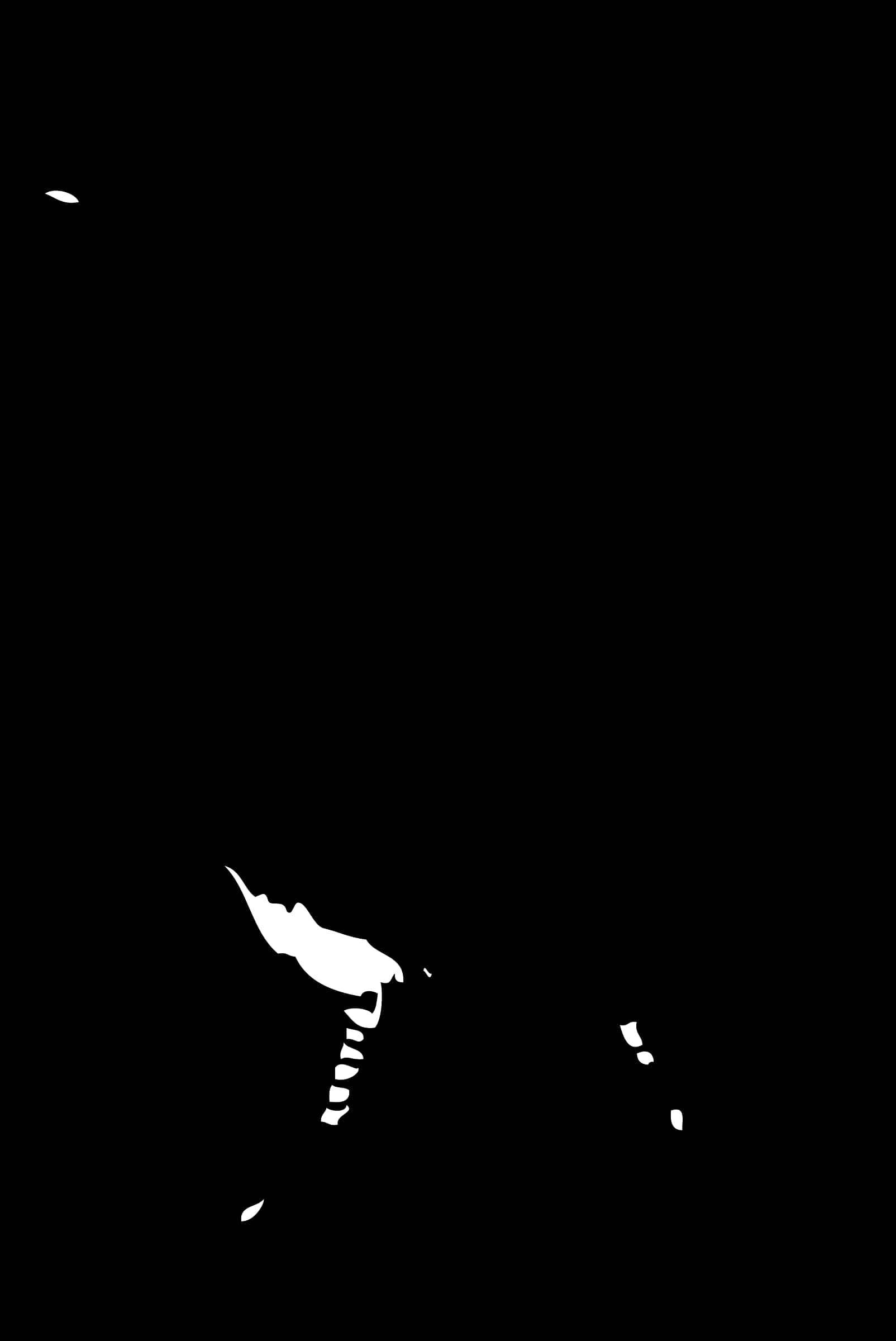 Abstract Blackand White Contrast PNG Image