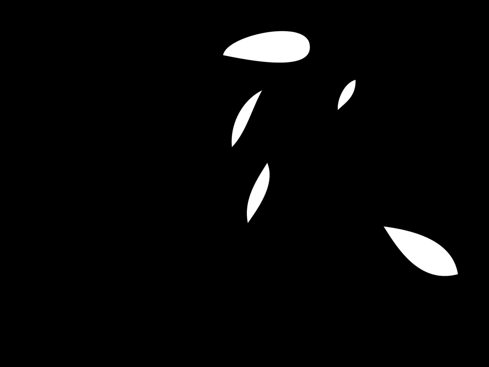 Abstract Blackand White Shape Composition PNG Image