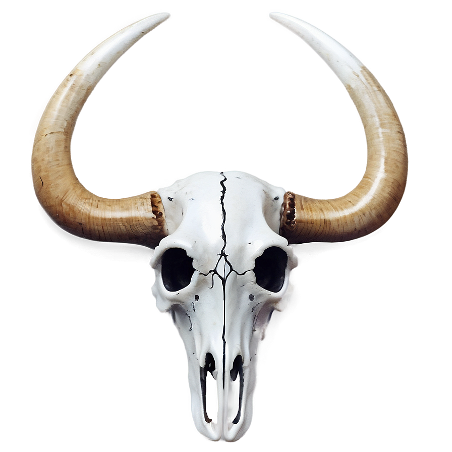 Abstract Bull Skull Png Kvn PNG Image