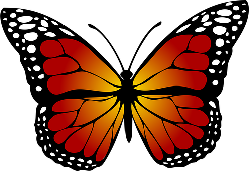 Abstract Butterfly Silhouette PNG Image