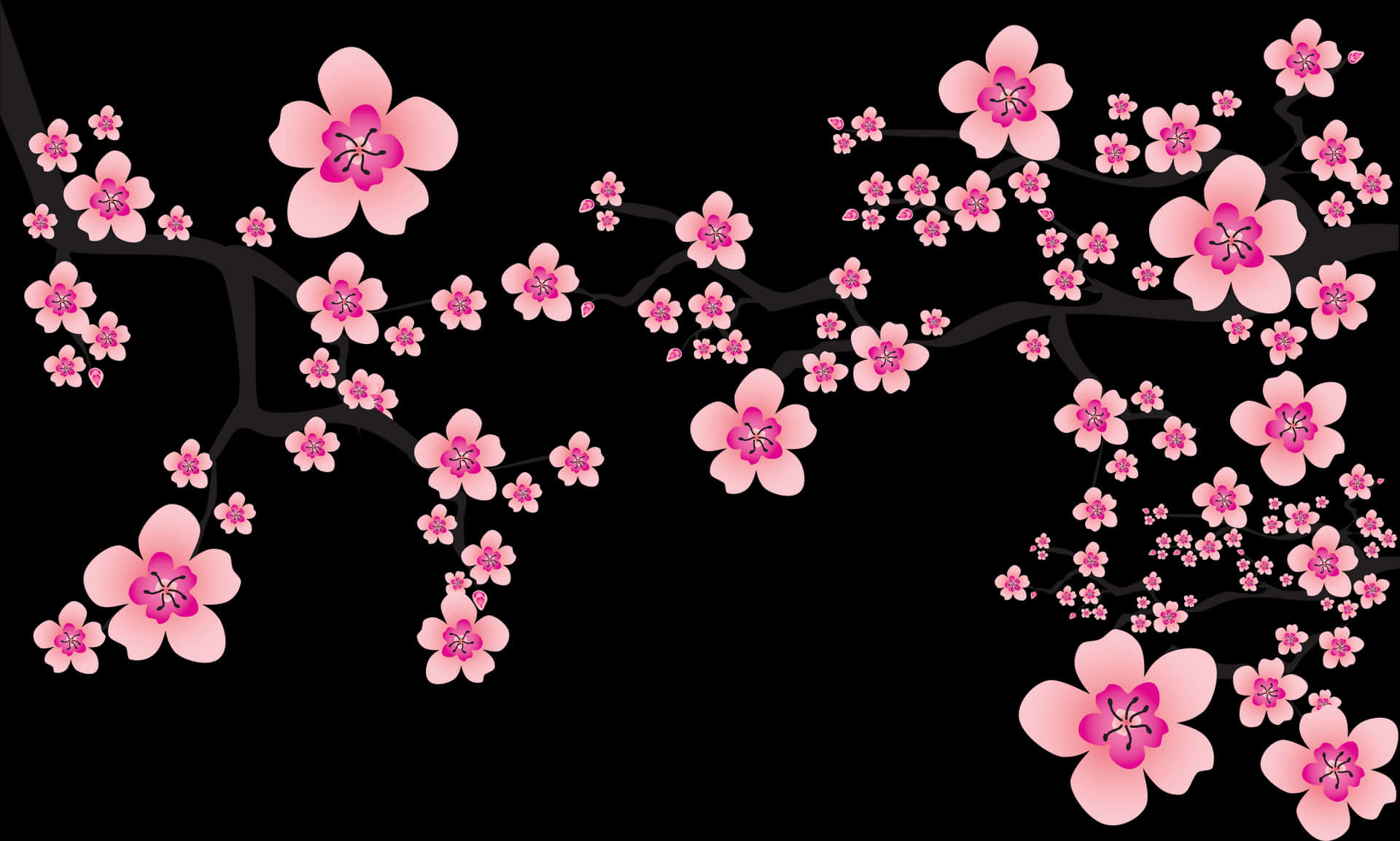 Abstract Cherry Blossomson Black Background PNG Image