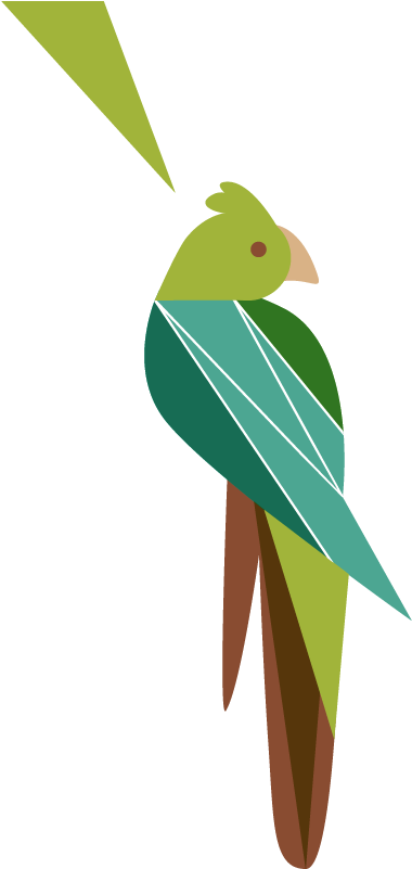 Abstract Cockatoo Artwork PNG Image