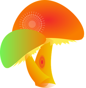 Abstract Colorful Mushroom Illustration PNG Image