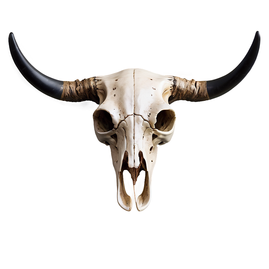 Abstract Cow Skull Png 06132024 PNG Image