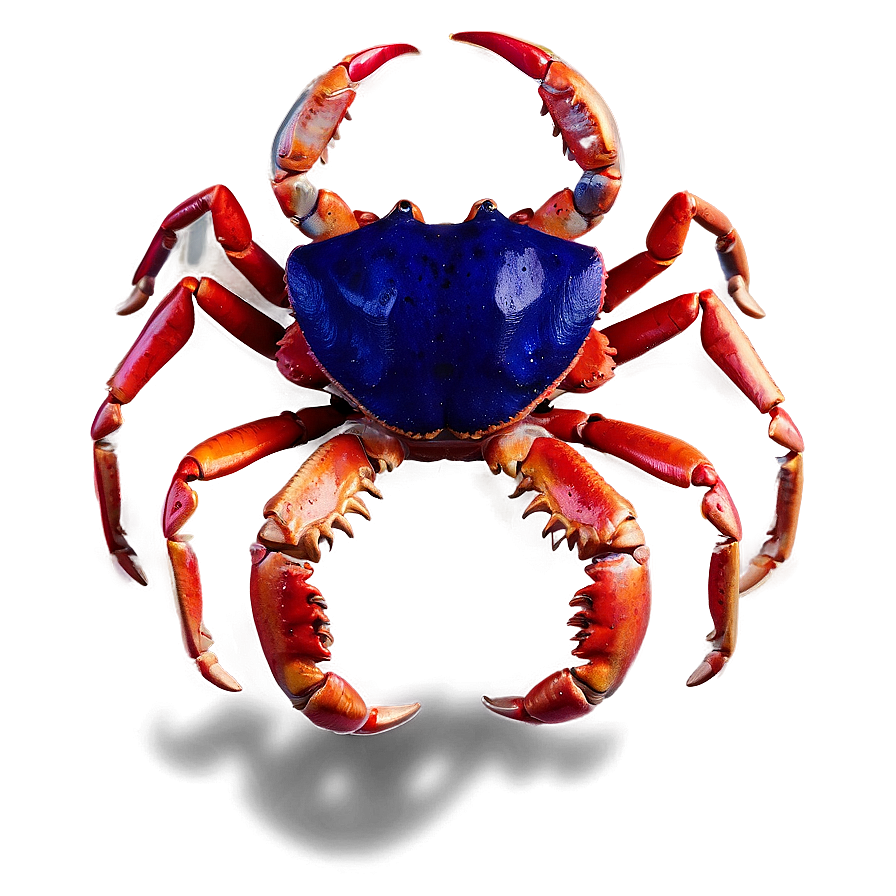 Abstract Crab Concept Png 05232024 PNG Image