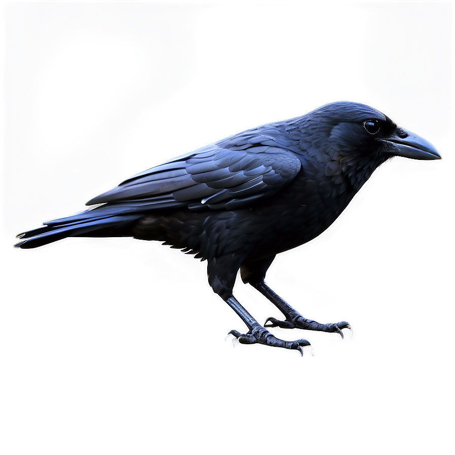 Abstract Crow Png 29 PNG Image