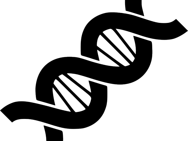 Abstract D N A Double Helix PNG Image