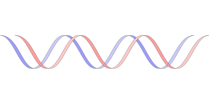 Abstract D N A Double Helix Illustration PNG Image