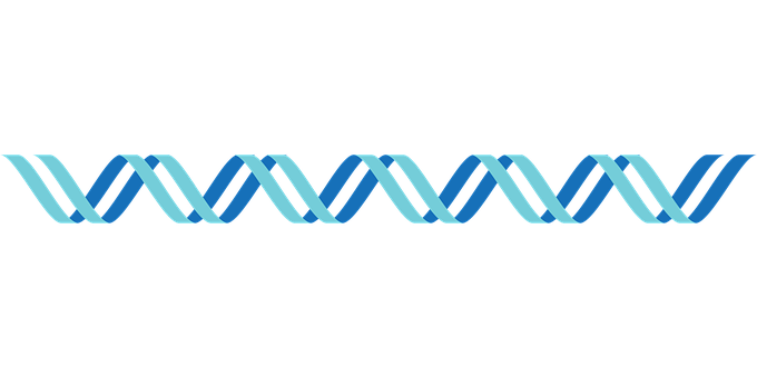 Abstract D N A Double Helix Illustration PNG Image