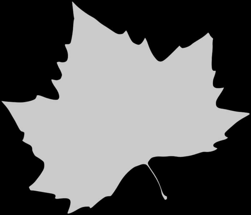 Abstract Fall Leaf Silhouette PNG Image