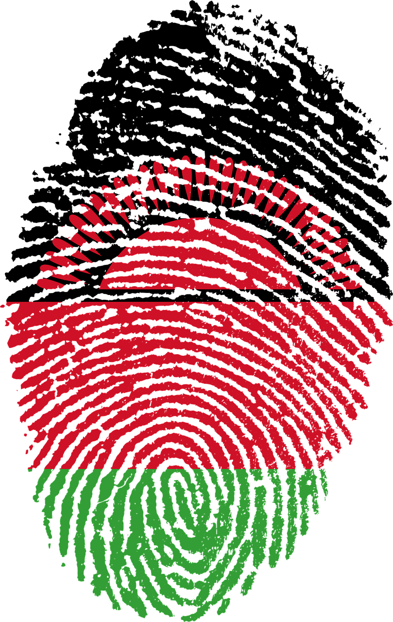 Abstract Fingerprint Artwork PNG Image