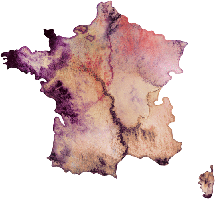 Abstract France Map Artwork PNG Image