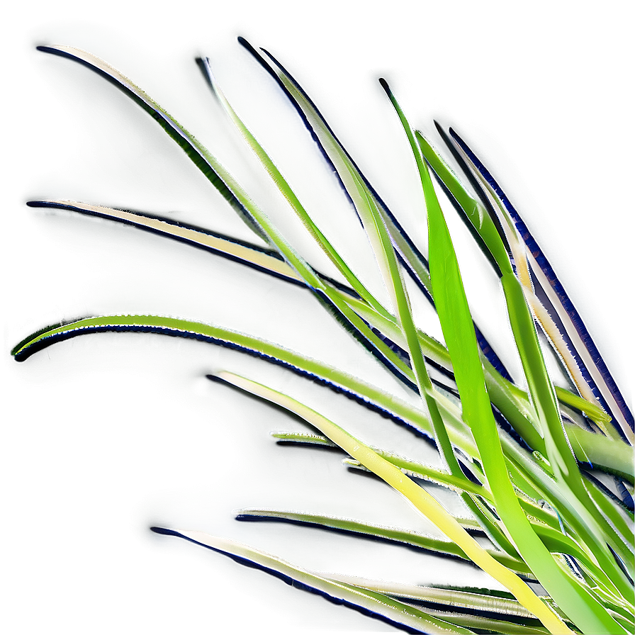 Abstract Grass Design Png 33 PNG Image