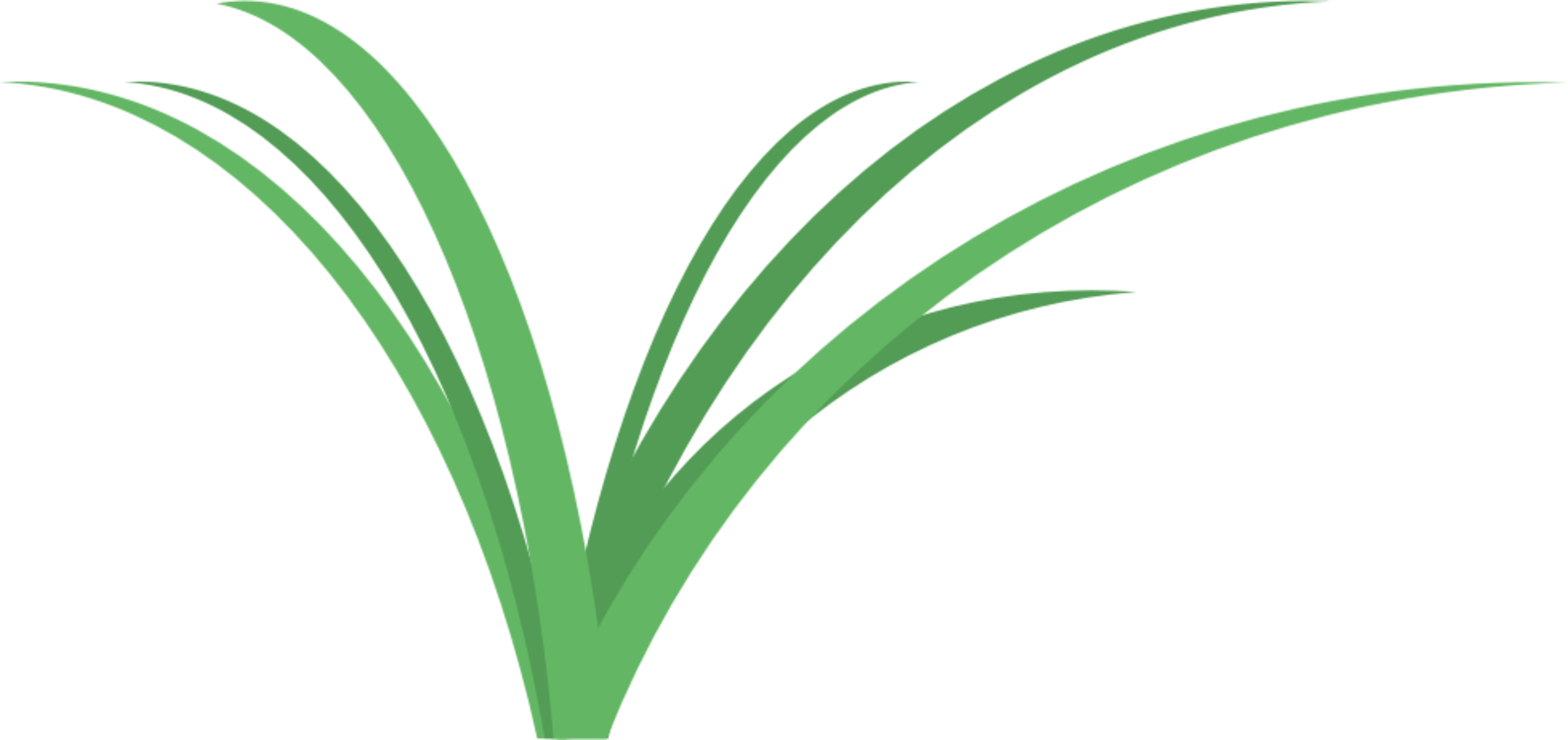 Abstract Grass Graphic PNG Image