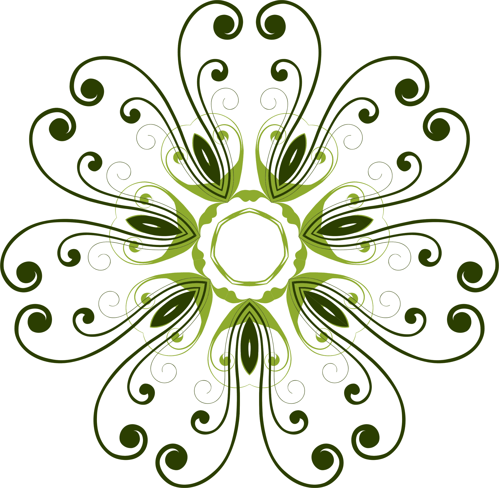 Abstract Green Floral Design PNG Image