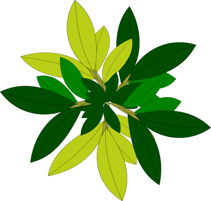 Abstract Green Leaves Design PNG Image