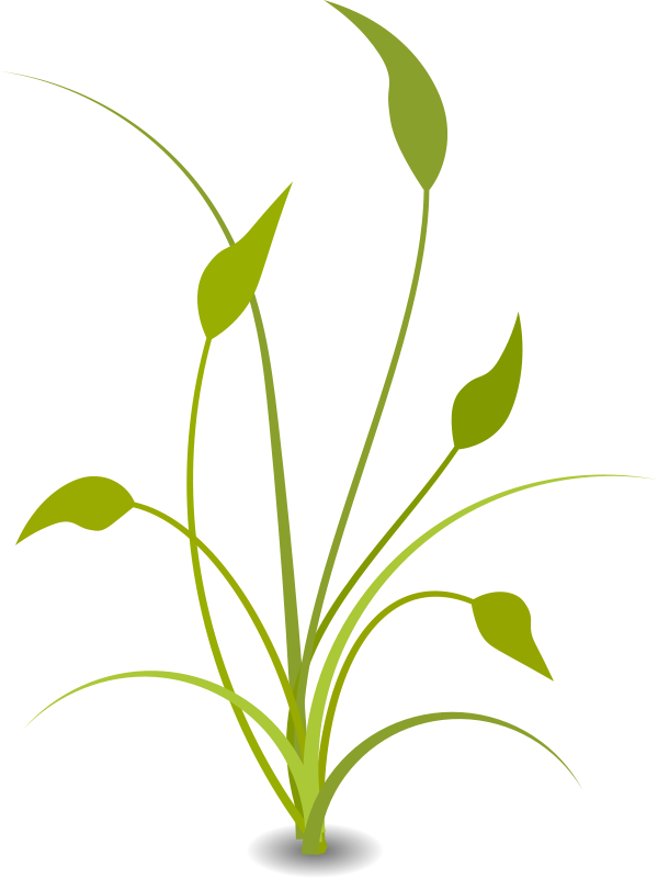 Abstract Green Plant Graphic PNG Image