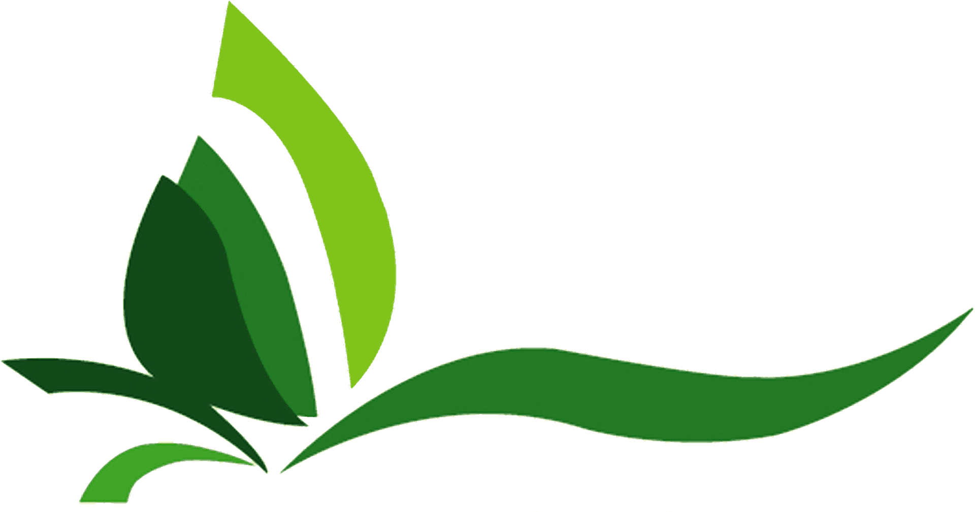 Abstract Green Plant Graphic PNG Image