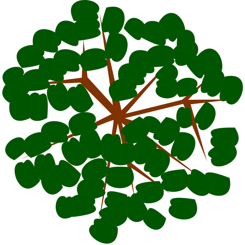 Abstract Green Tree Top View PNG Image