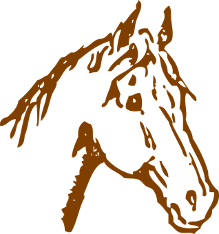 Abstract Horse Profile Art PNG Image