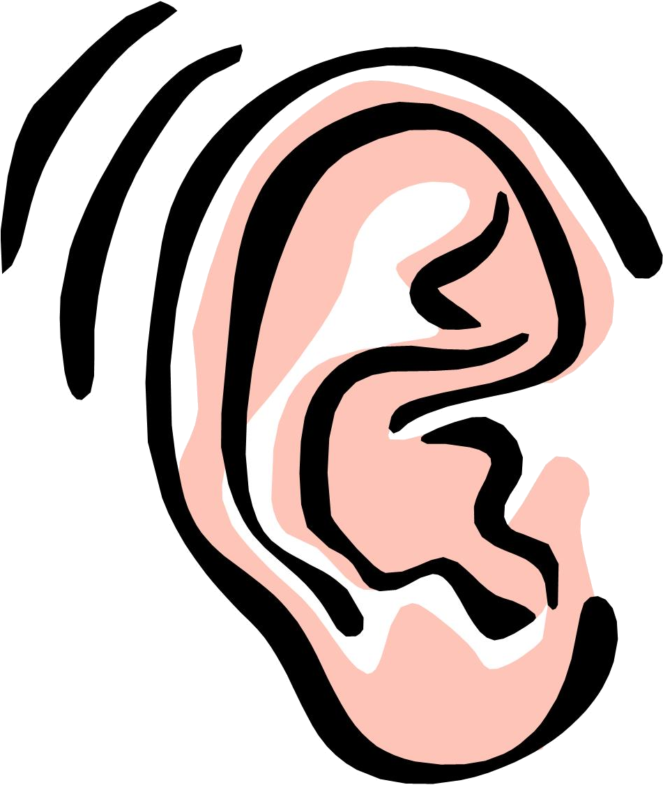 Abstract Human Ear Illustration PNG Image