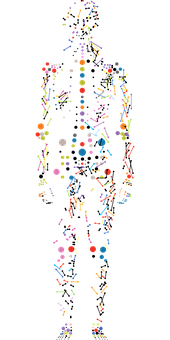 Abstract Human Figure Composedof Colored Dotsand Lines PNG Image