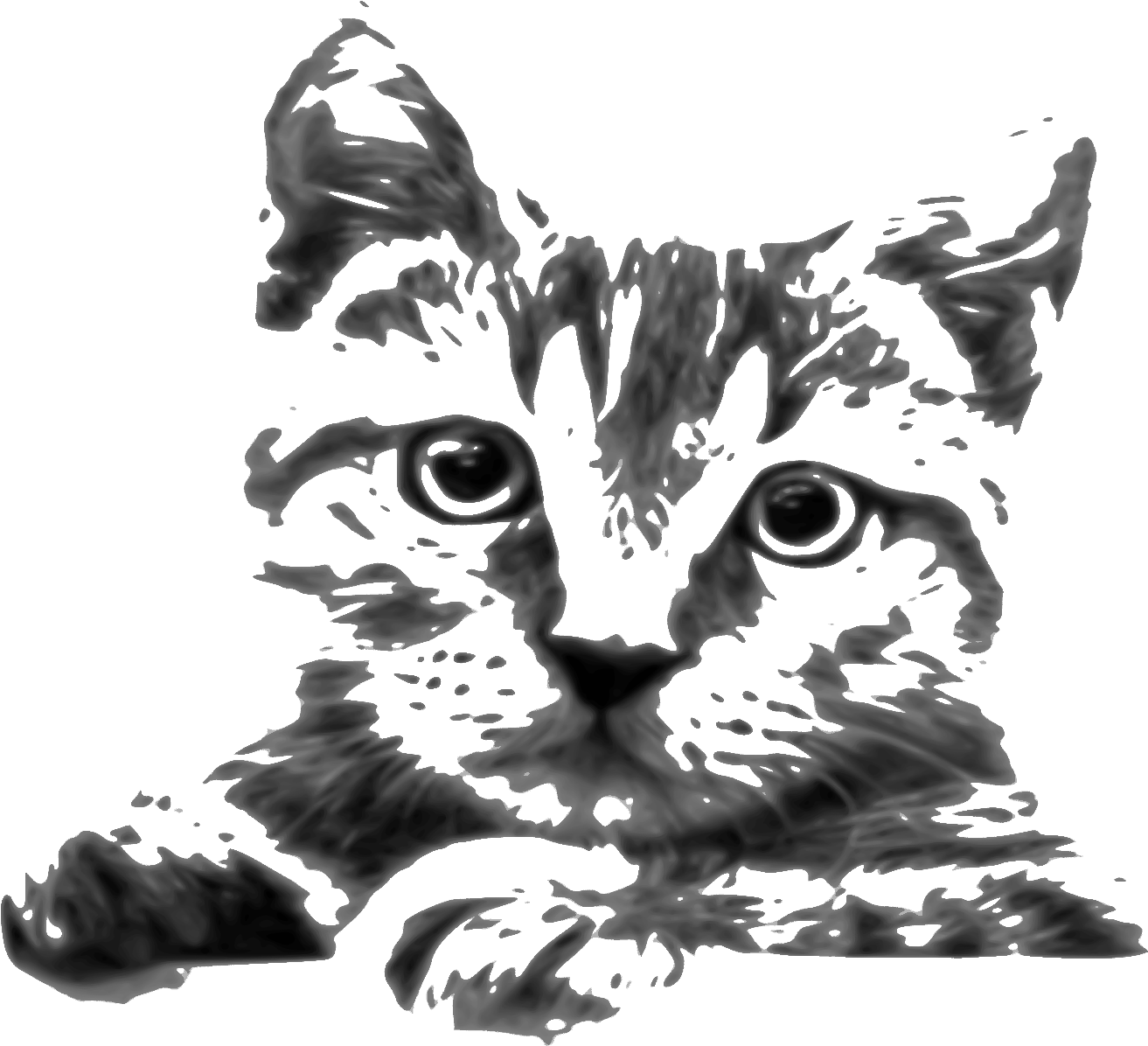 Abstract Kitten Sketch Art PNG Image