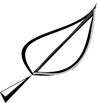 Abstract Leaf Graphic Blackand White PNG Image