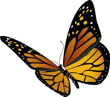 Abstract Monarch Butterfly Vector PNG Image