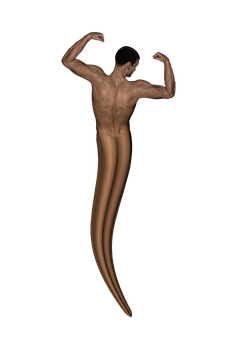 Abstract Muscular Figure Flexing PNG Image