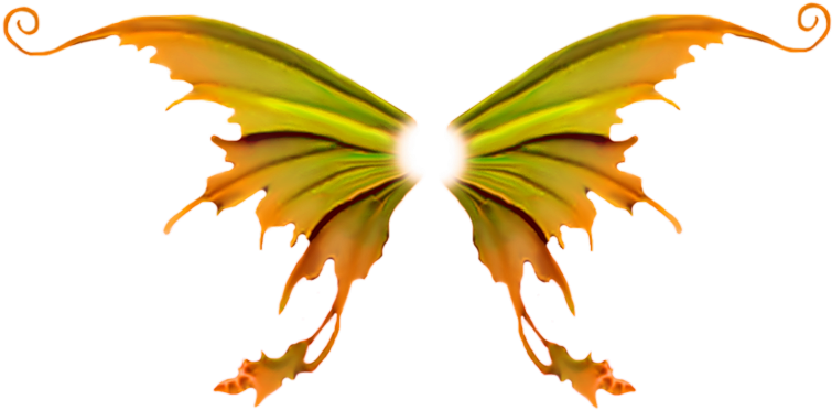 Abstract Orange Green Wings Artwork PNG Image