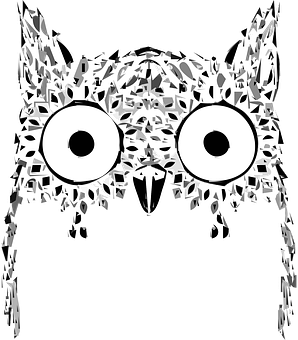 Abstract Owl Artwork PNG Image