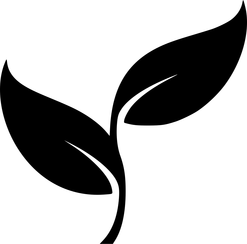 Abstract Plant Silhouette PNG Image