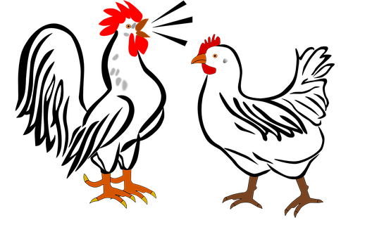 Abstract Rooster Parts Illustration PNG Image