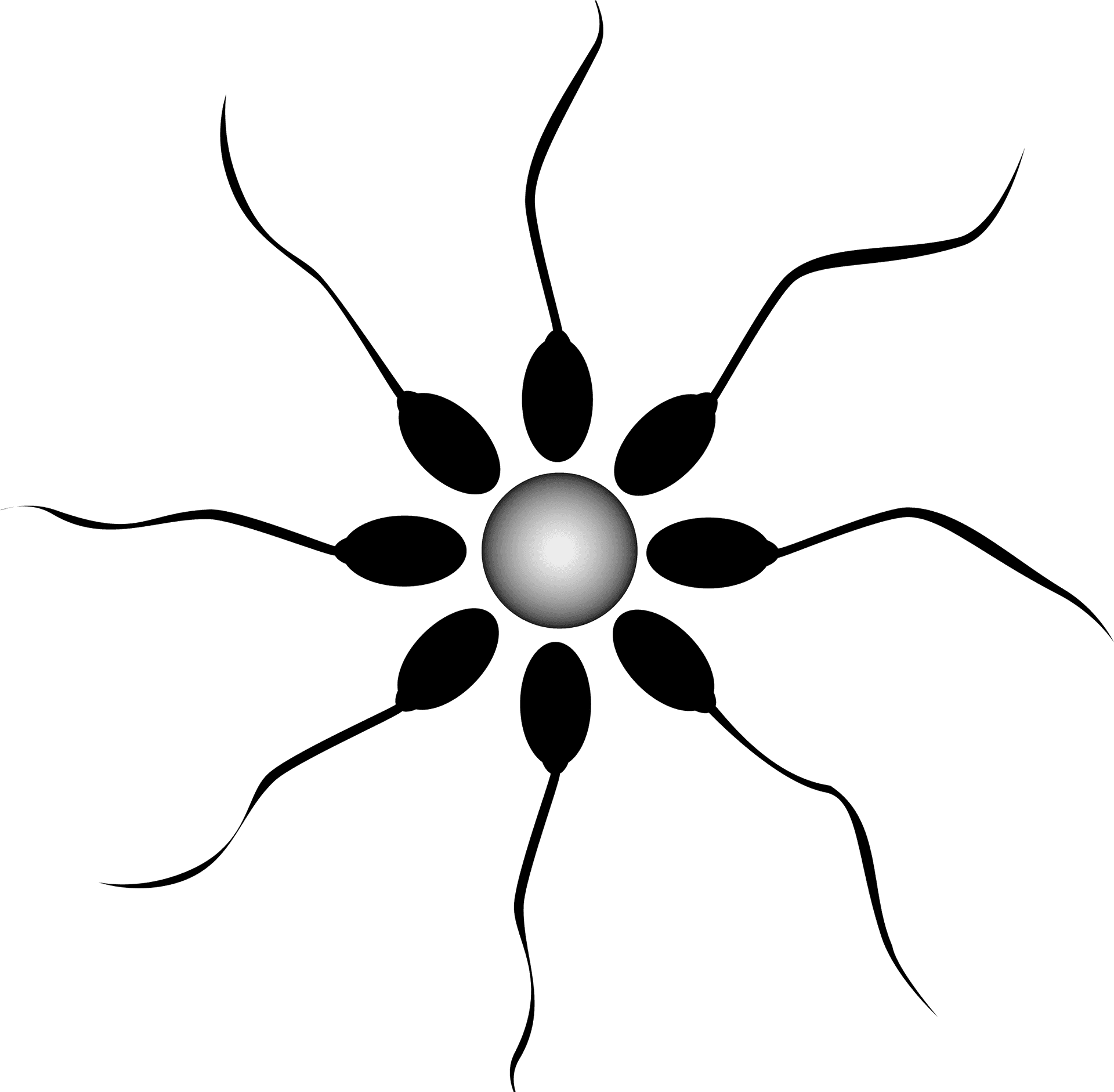 Abstract Sperm Fertilization Graphic PNG Image