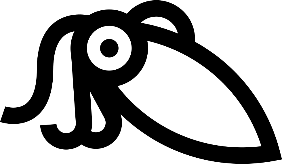 Abstract Squid Outline PNG Image