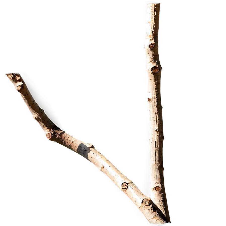 Abstract Twig Png Put83 PNG Image