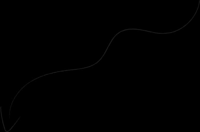 Abstract Wavy Line Art PNG Image