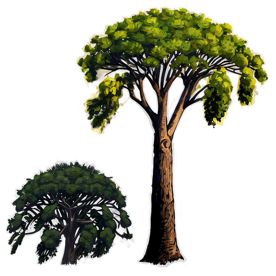 Acacia Tree Sketch Png Oar50 PNG Image