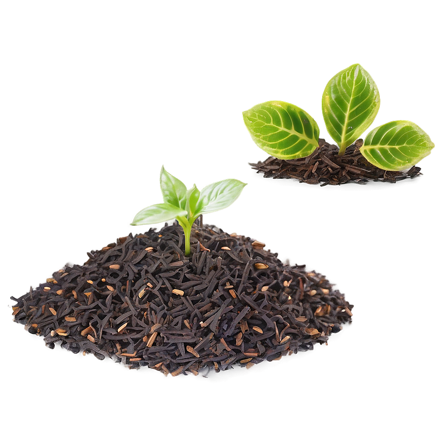 Acid Loving Plants Mulch Png Ttw PNG Image