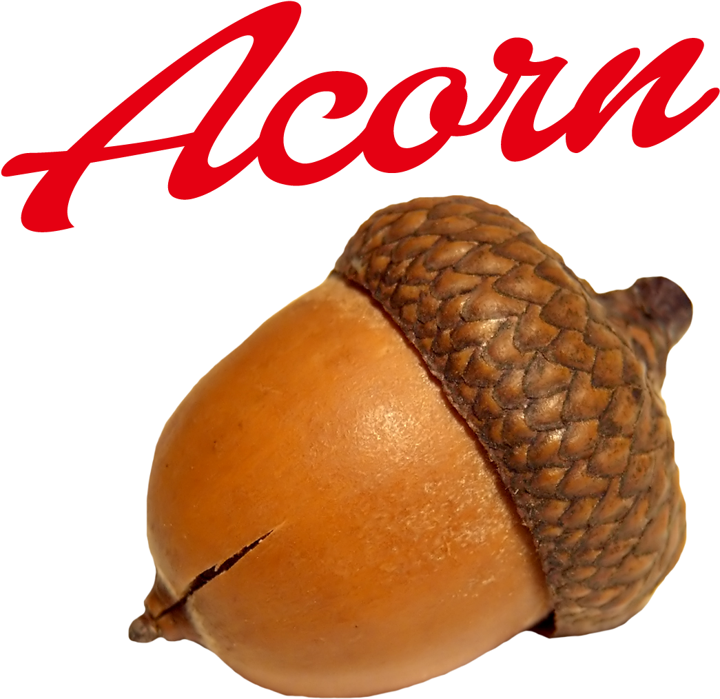 Acorn Brand Logo PNG Image