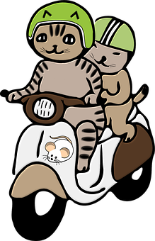 Adventure Catson Motorcycle PNG Image